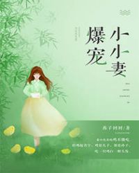 爆宠小萌妃大概剧情