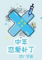 中年恋爱补丁小说全文免费